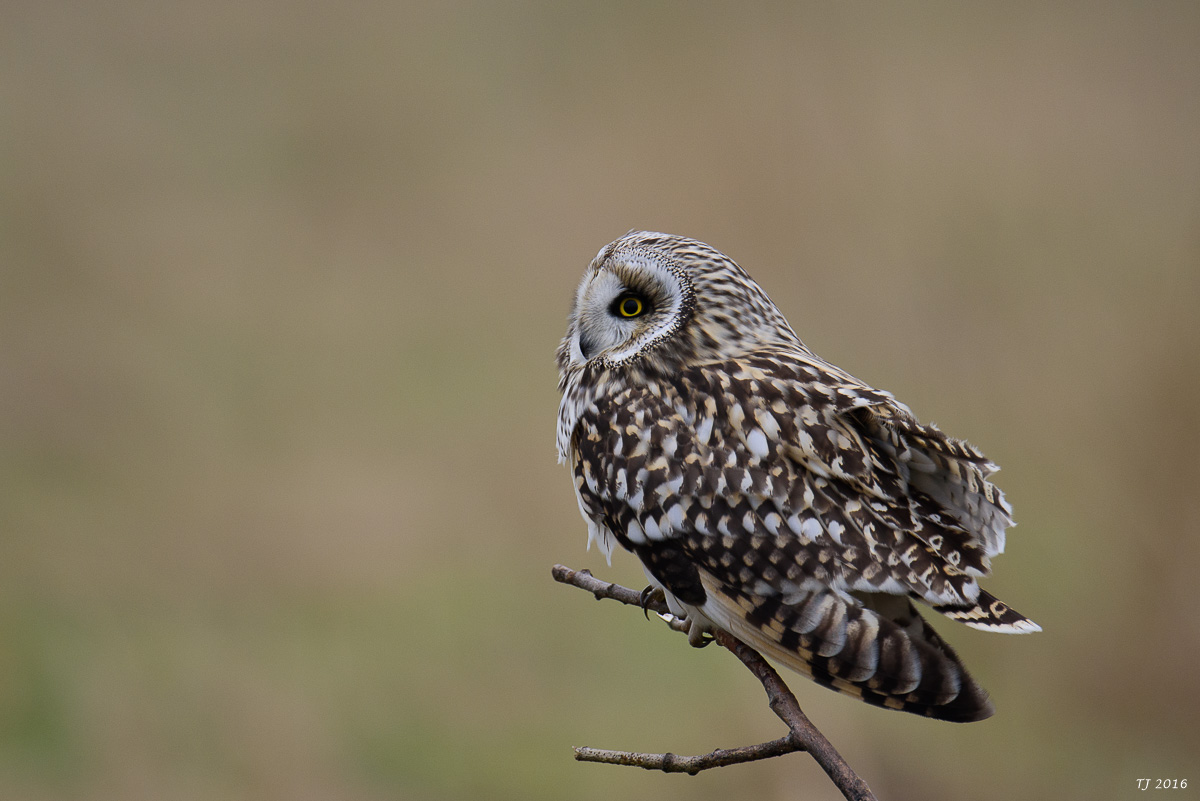 DSC_2045.jpg