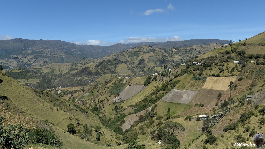 Das Bild zeigt eine Berglandschaft mit einem tiefen Tal. An den steilen Berghängen sind kleine Felder. Dazwischen stehen vereinzelt Bäume und Häuser.
