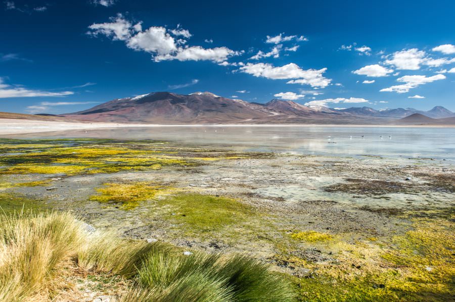 atacama16_016.jpg