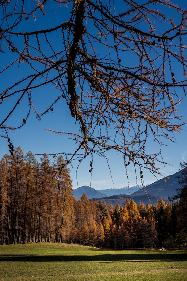 20201114_NZ7_2023NF.jpg