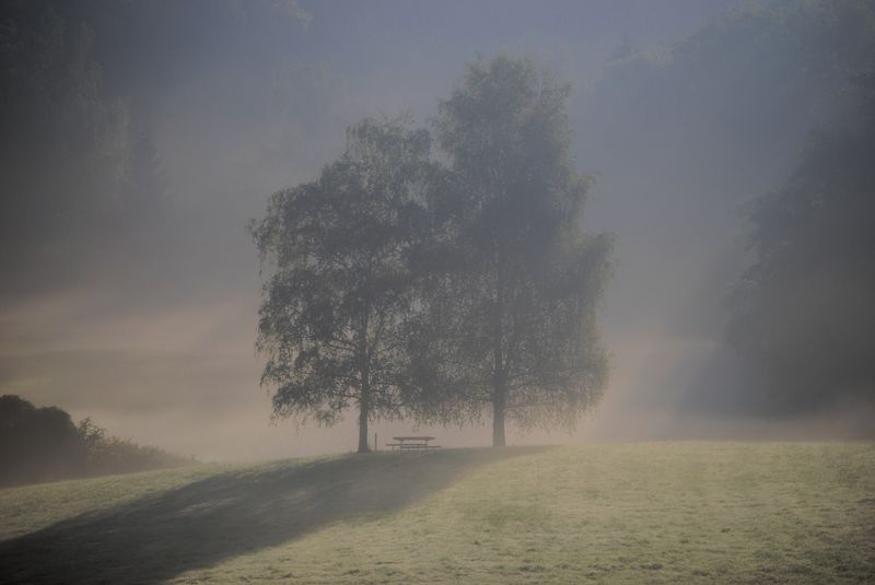 Bodennebel.jpg