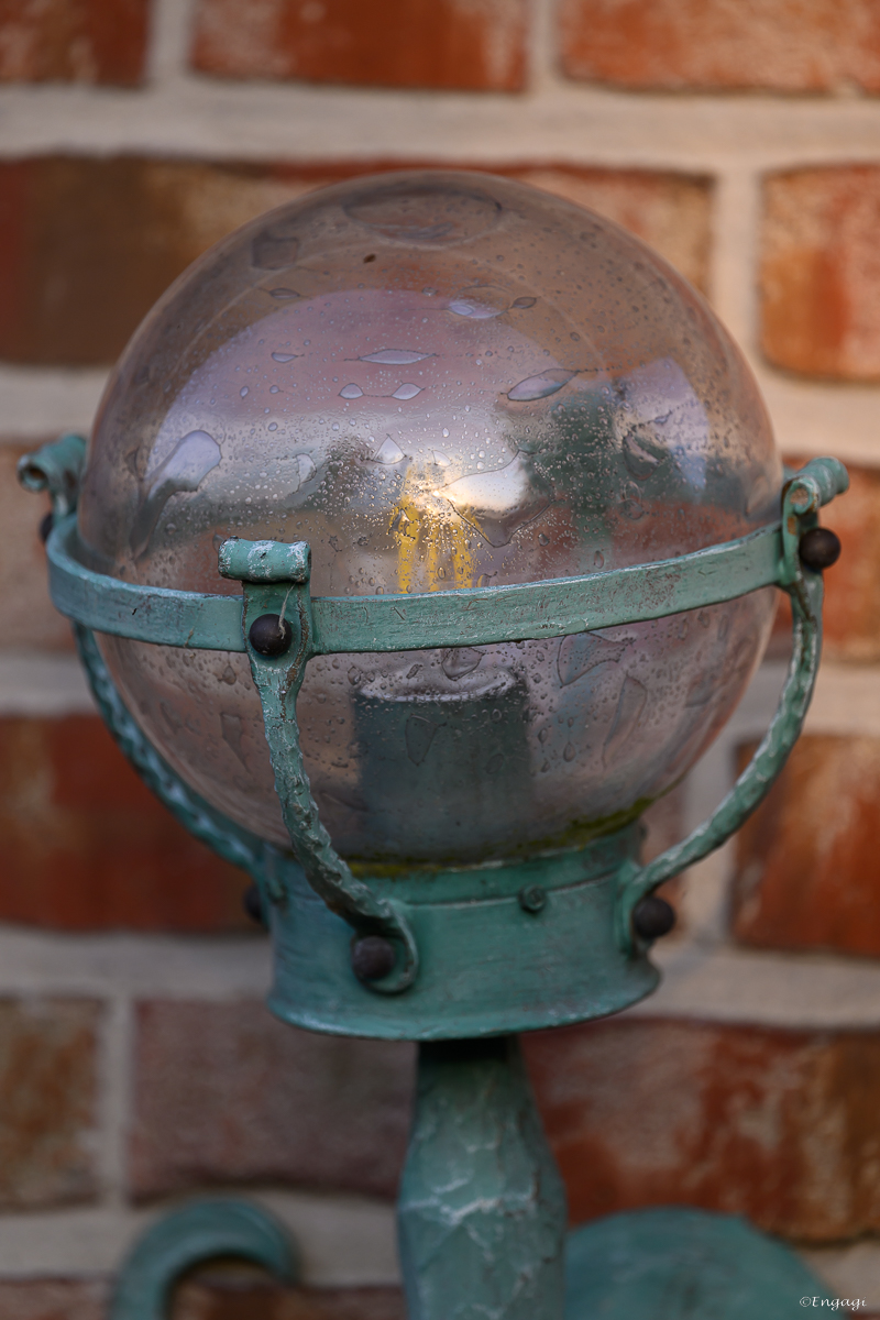 DSC_2923.jpg