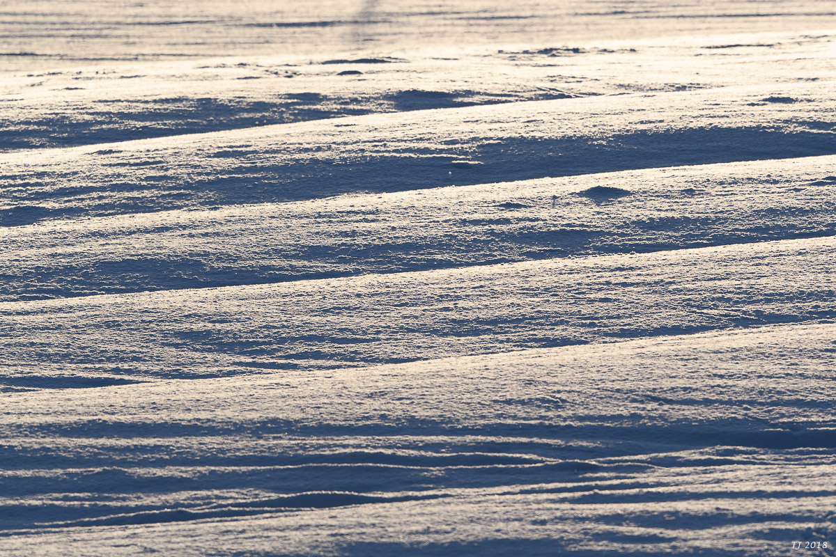 DSC_3504.jpg