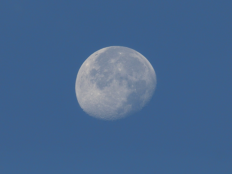 mond9.jpg