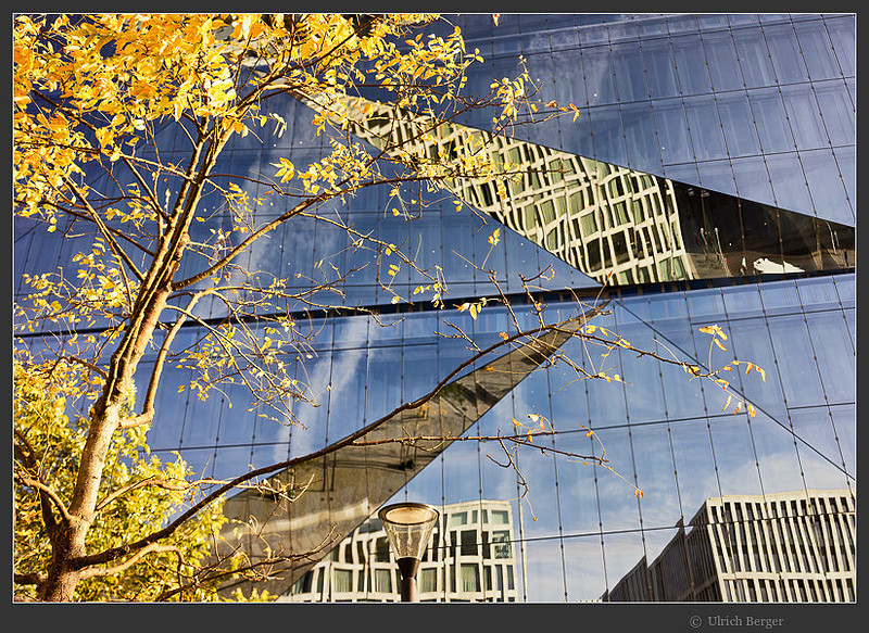 p3946110407-4.jpg