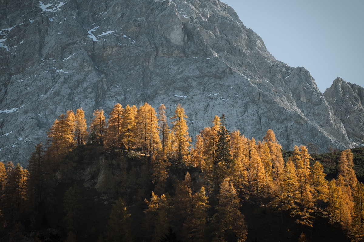 20171016-P1080847_DxO-Bearbeitet.jpg