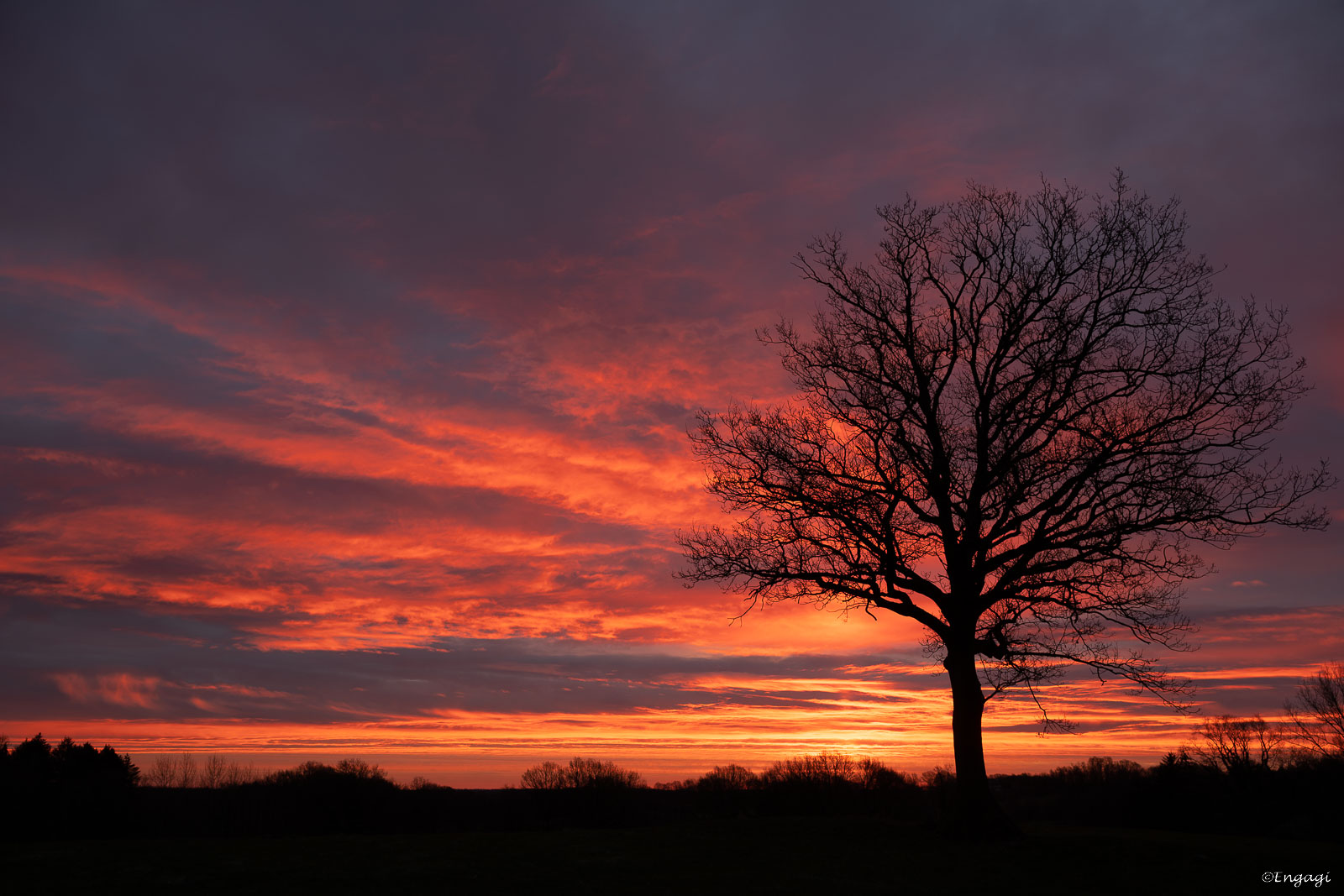 DSC_6050.jpg