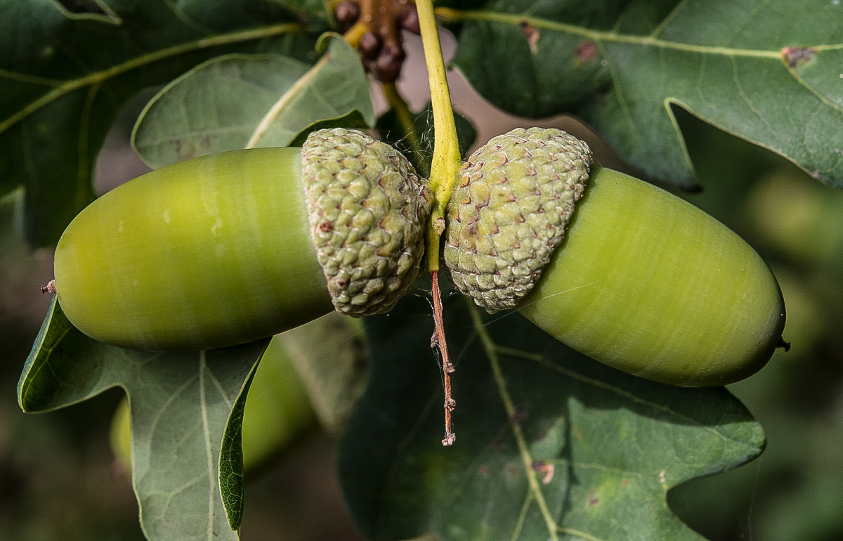full
