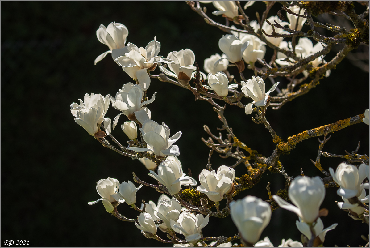 full
