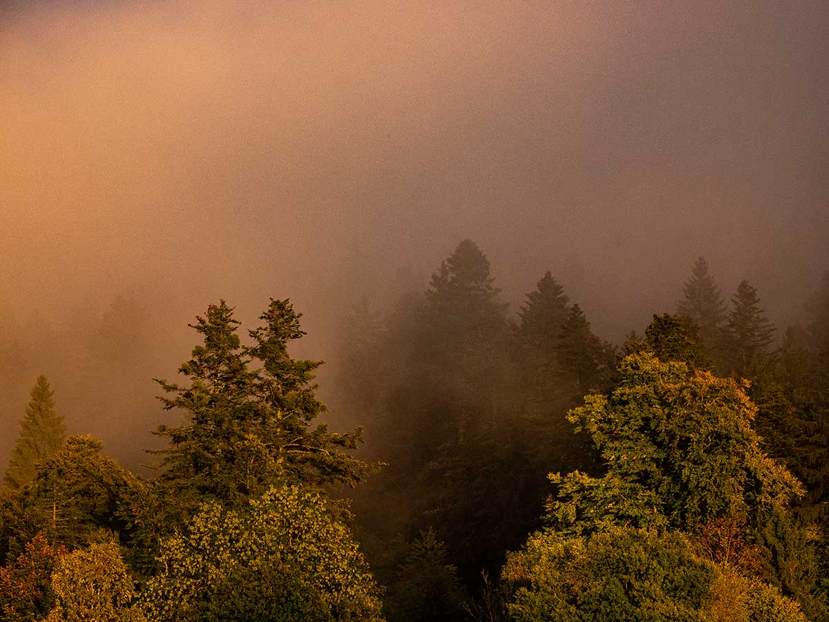 full