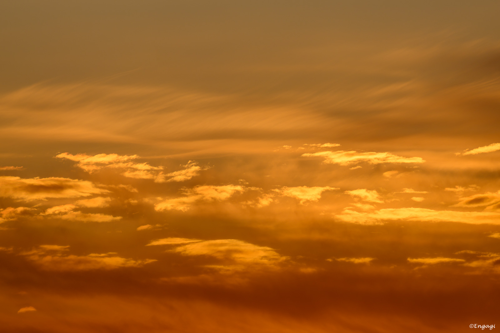 DSC_2685.jpg