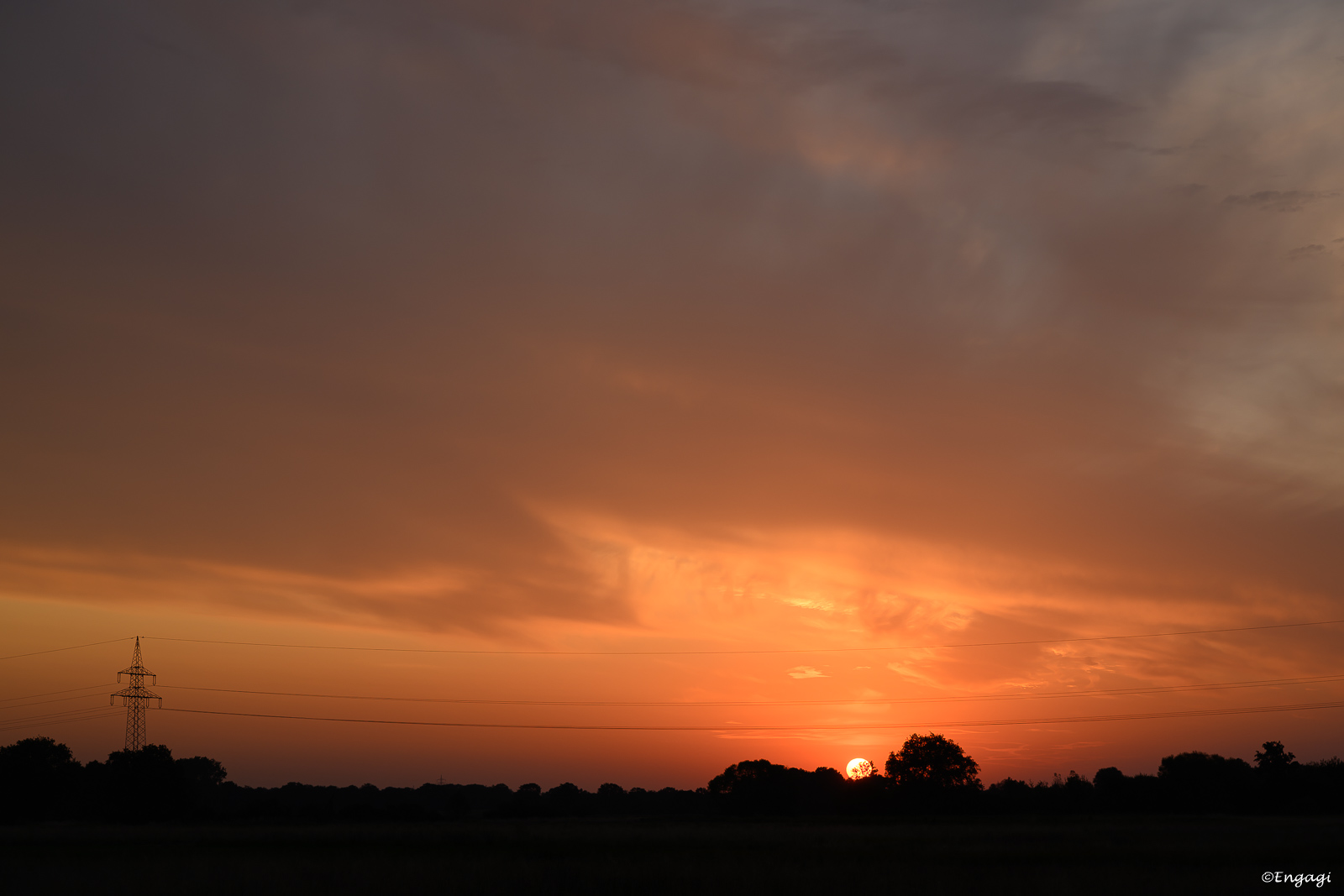 DSC_0545.jpg
