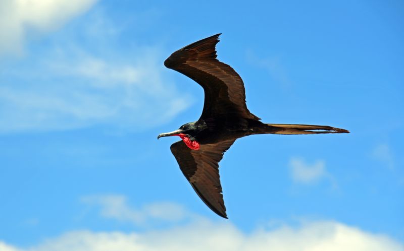 d75_7970.jpg