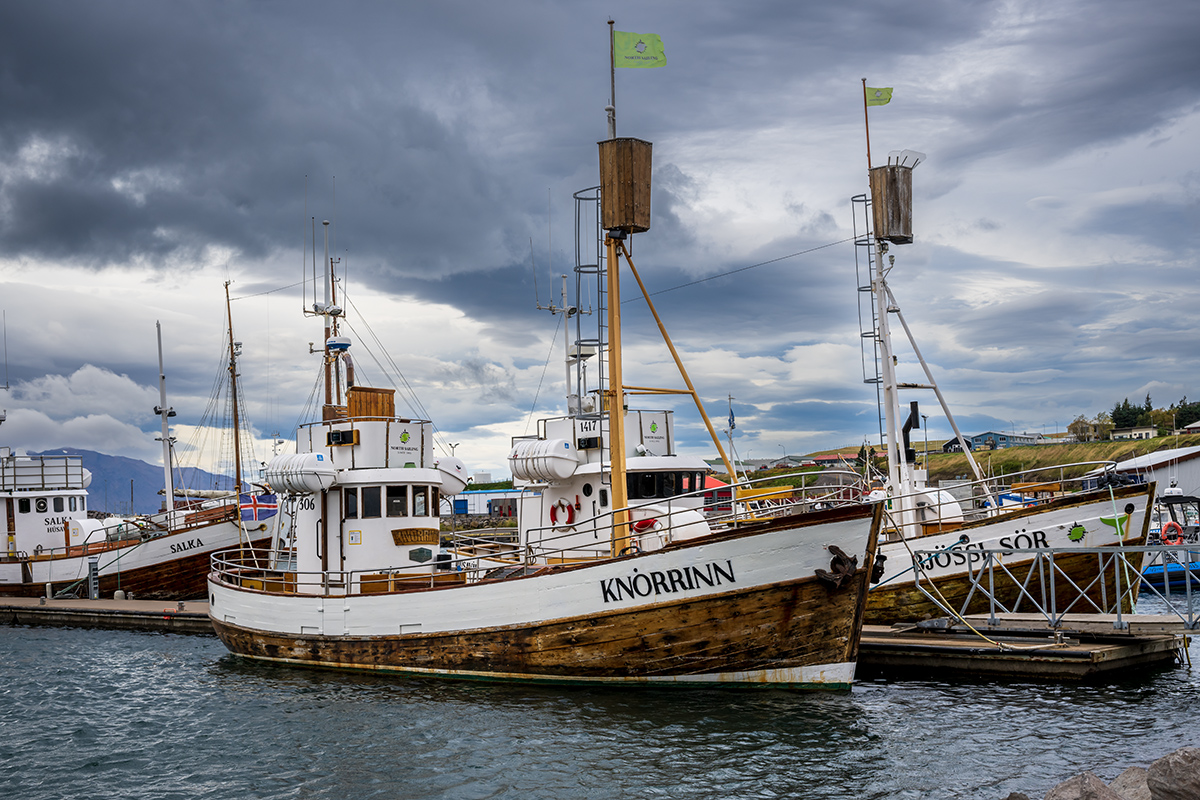 20220924_NZ9_0335NF.jpg