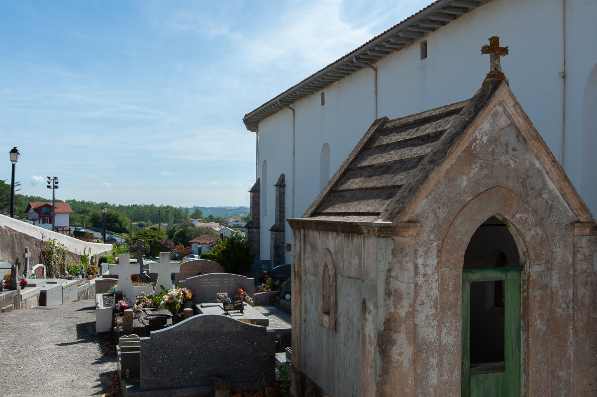_DSC3653.jpg