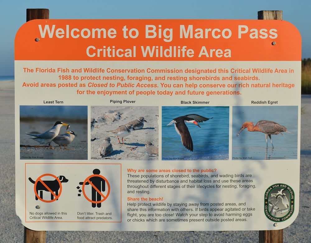 BigMarcoPass.jpg