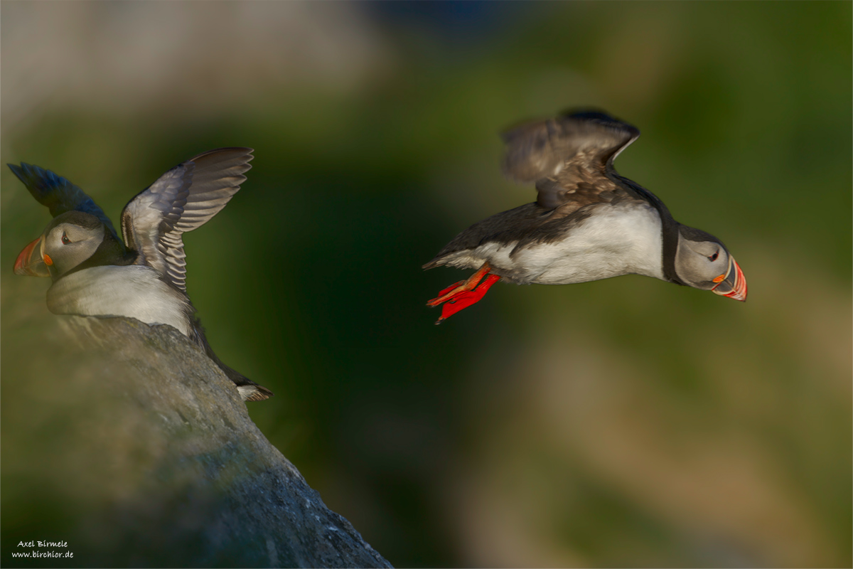 20140514_0425_PS_1200Px.jpg