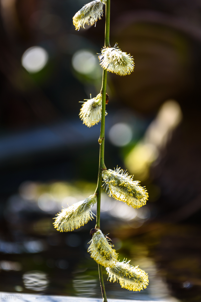 DSC_5544.jpg