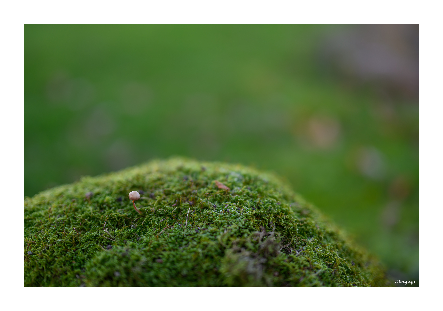 DSC_3614.jpg