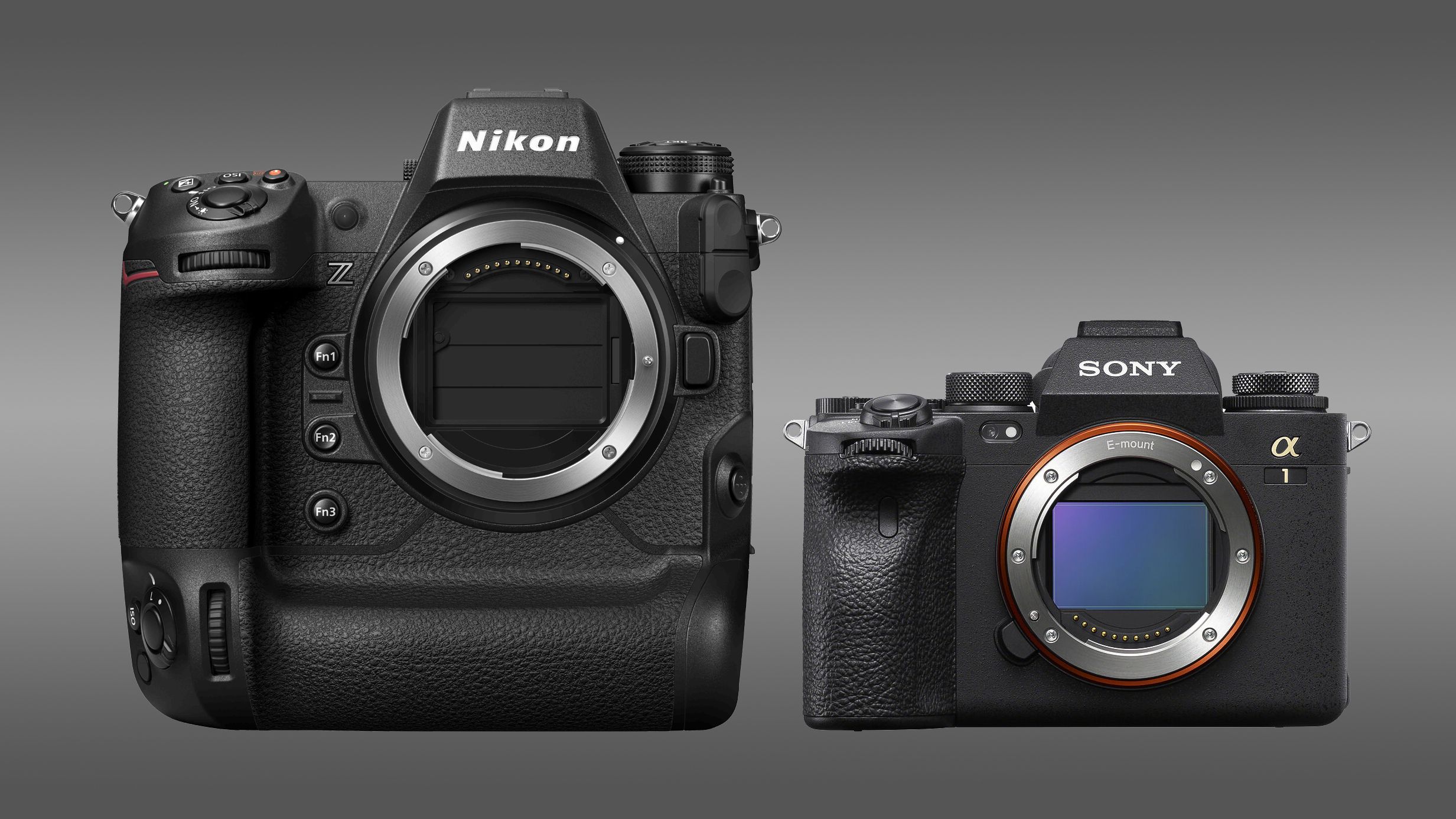 www.digitalcameraworld.com