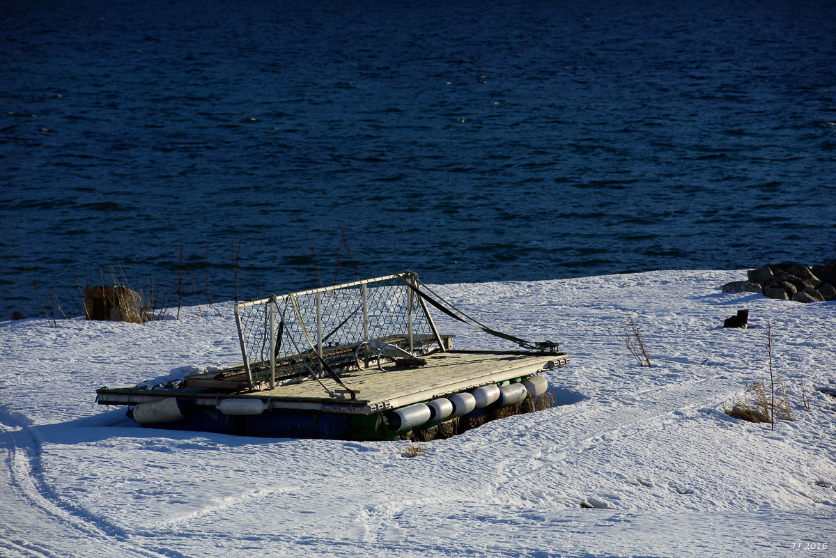 DSC_3162.jpg