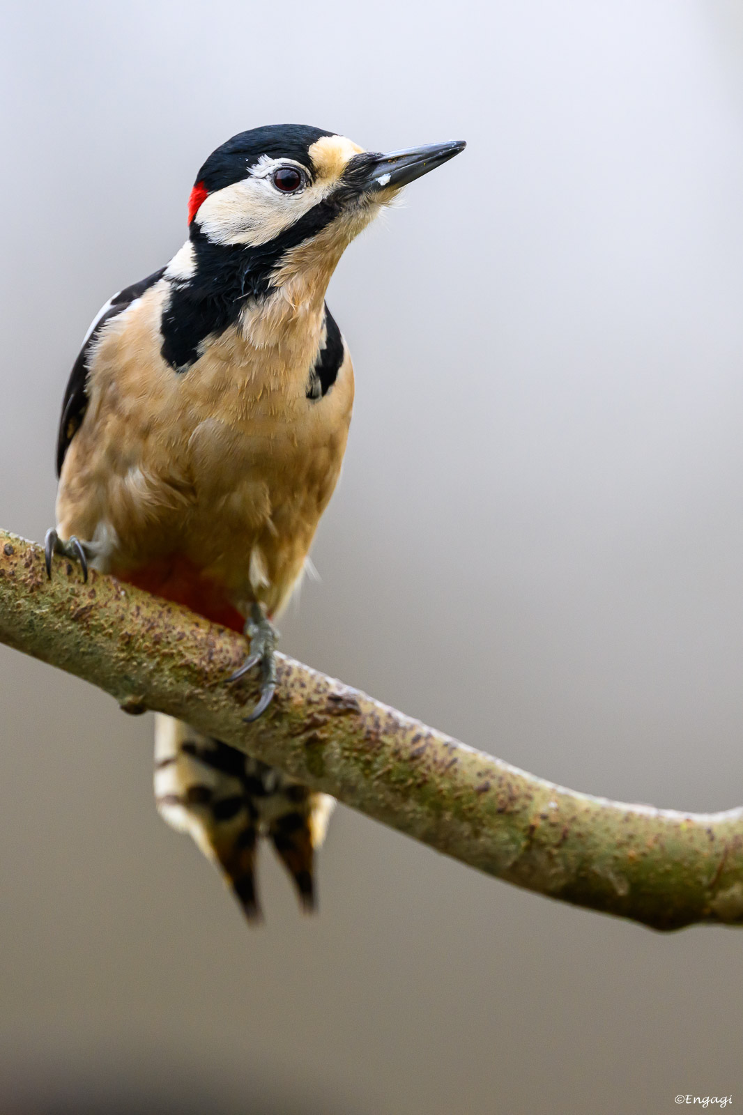 DSC_6201.jpg