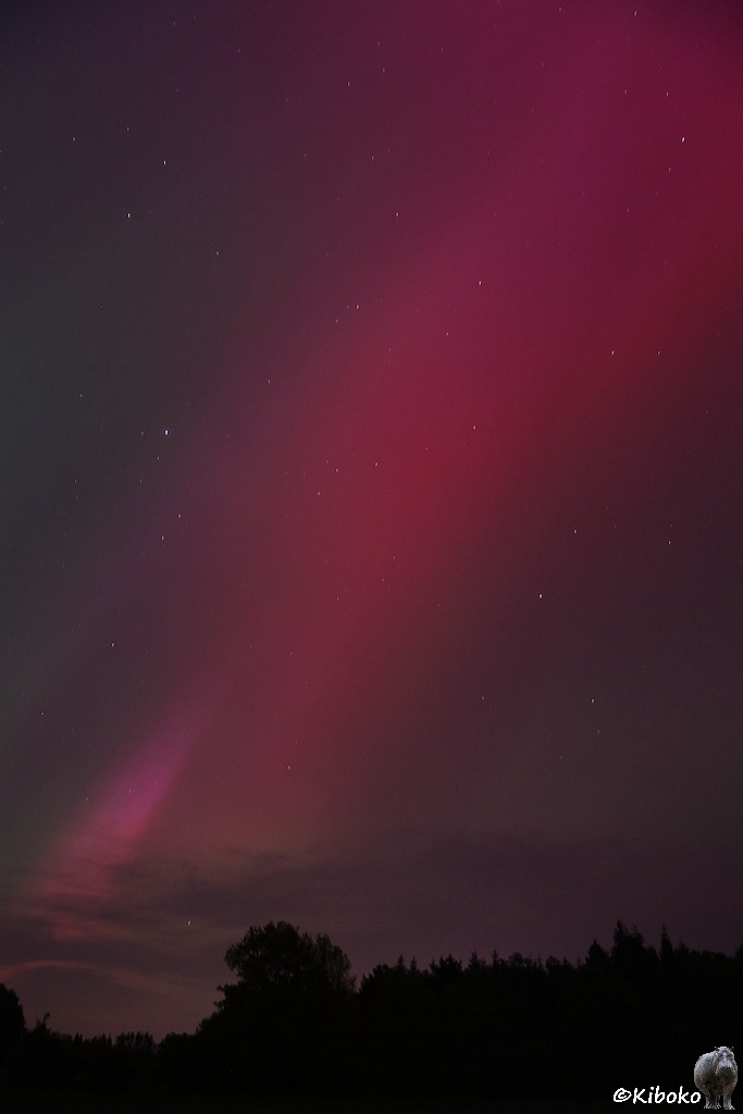 Das Bild zeigt eine Hochgformataufnahme mit einem breiten rötlichen Streifen von links unten nach rechts oben. Unten ist Wald im Vordergrund. Am linken Bildrand verlässt ein rosa Streifen den breiten rötlichen Streifen.