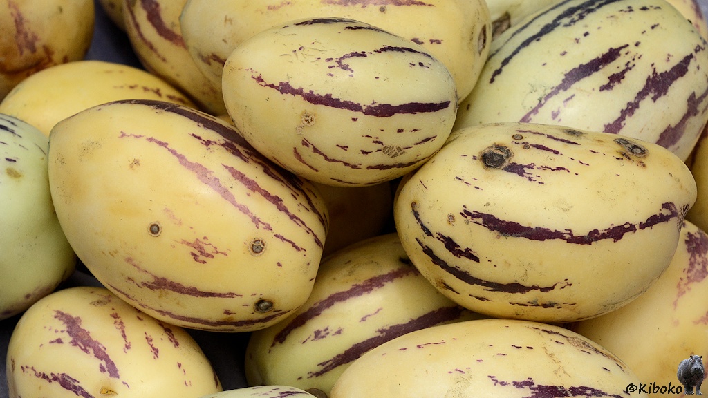 Das Bild zeigt große gelbe Früchte mit braunen Streifen. Sie haben die Form einer überdimensionalen Pflaume.