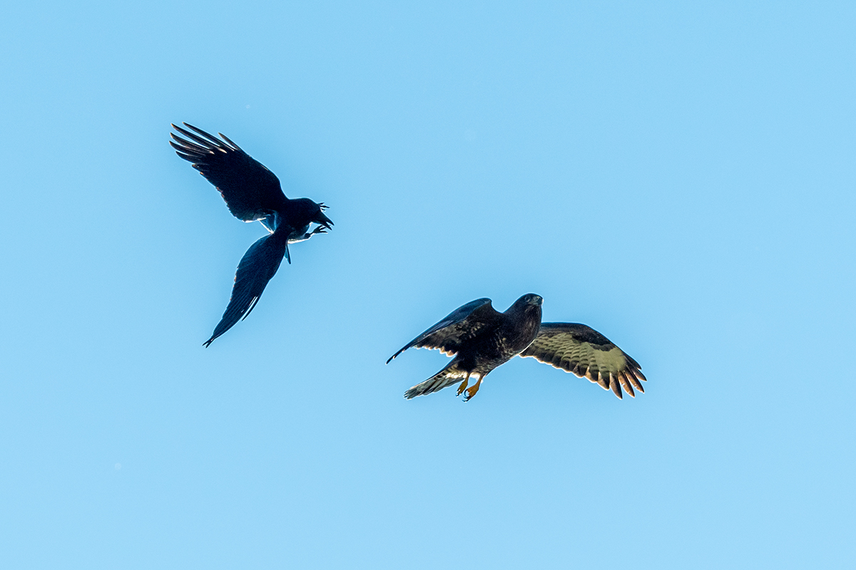 20211028_D500_2686NF.jpg