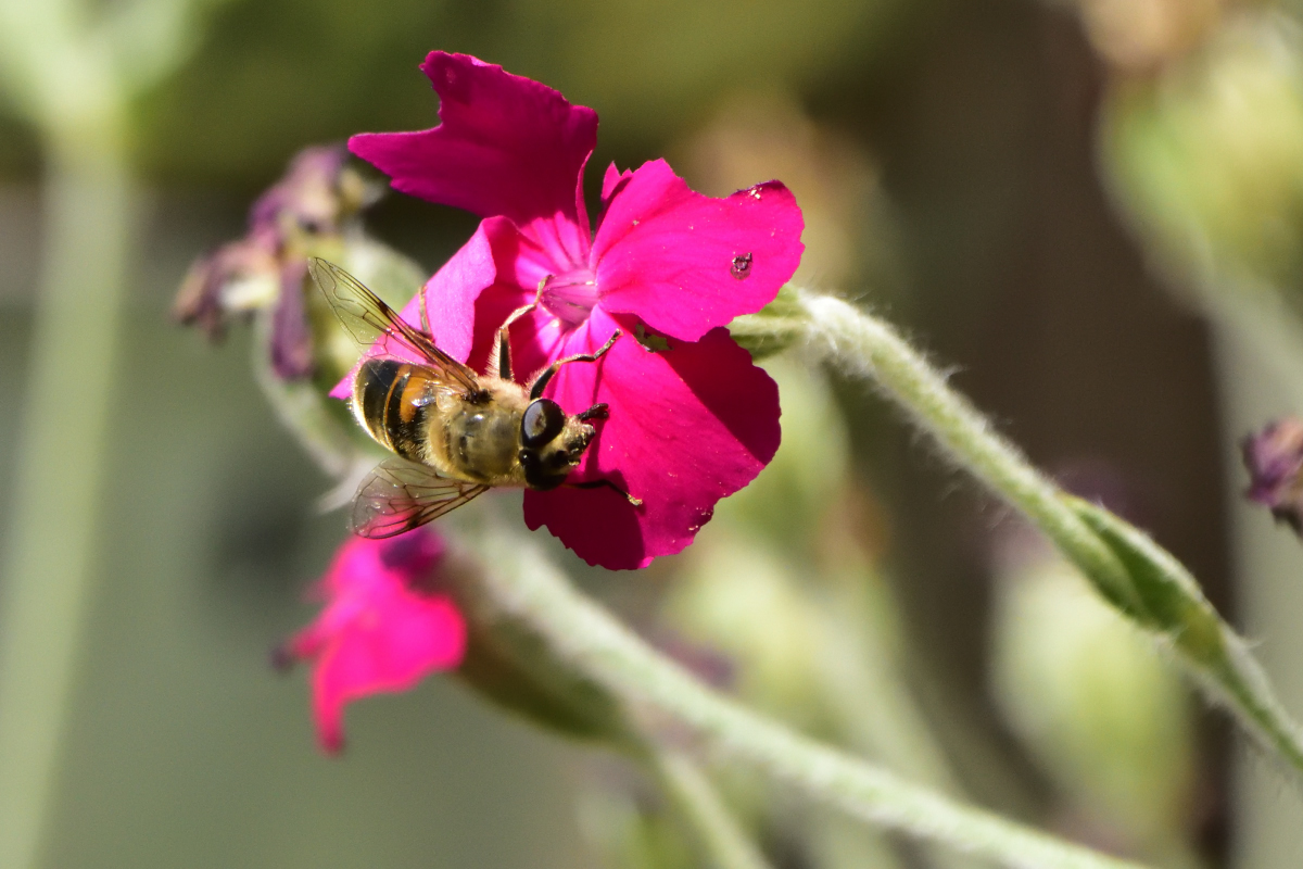 full