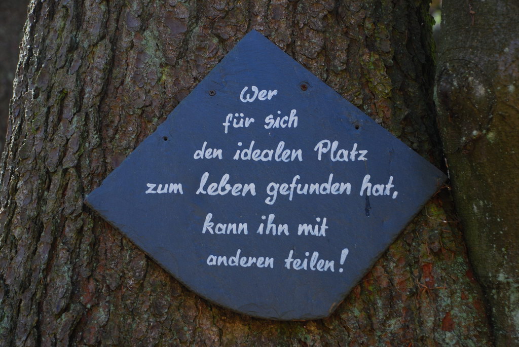 NATUR5.JPG