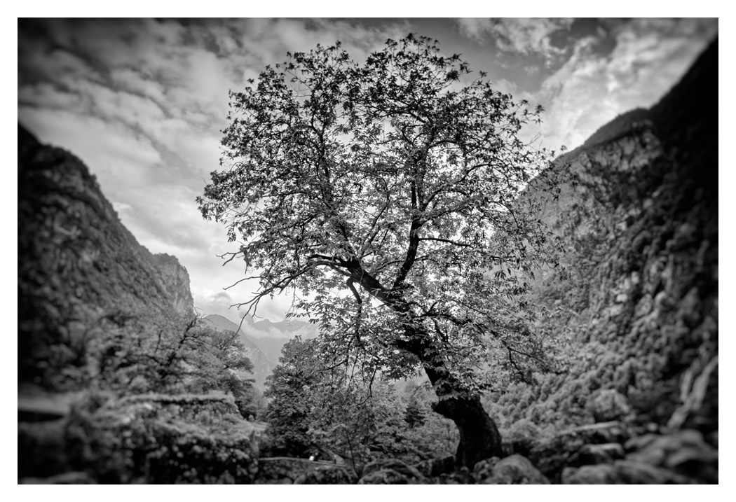Tessin_bw.jpg