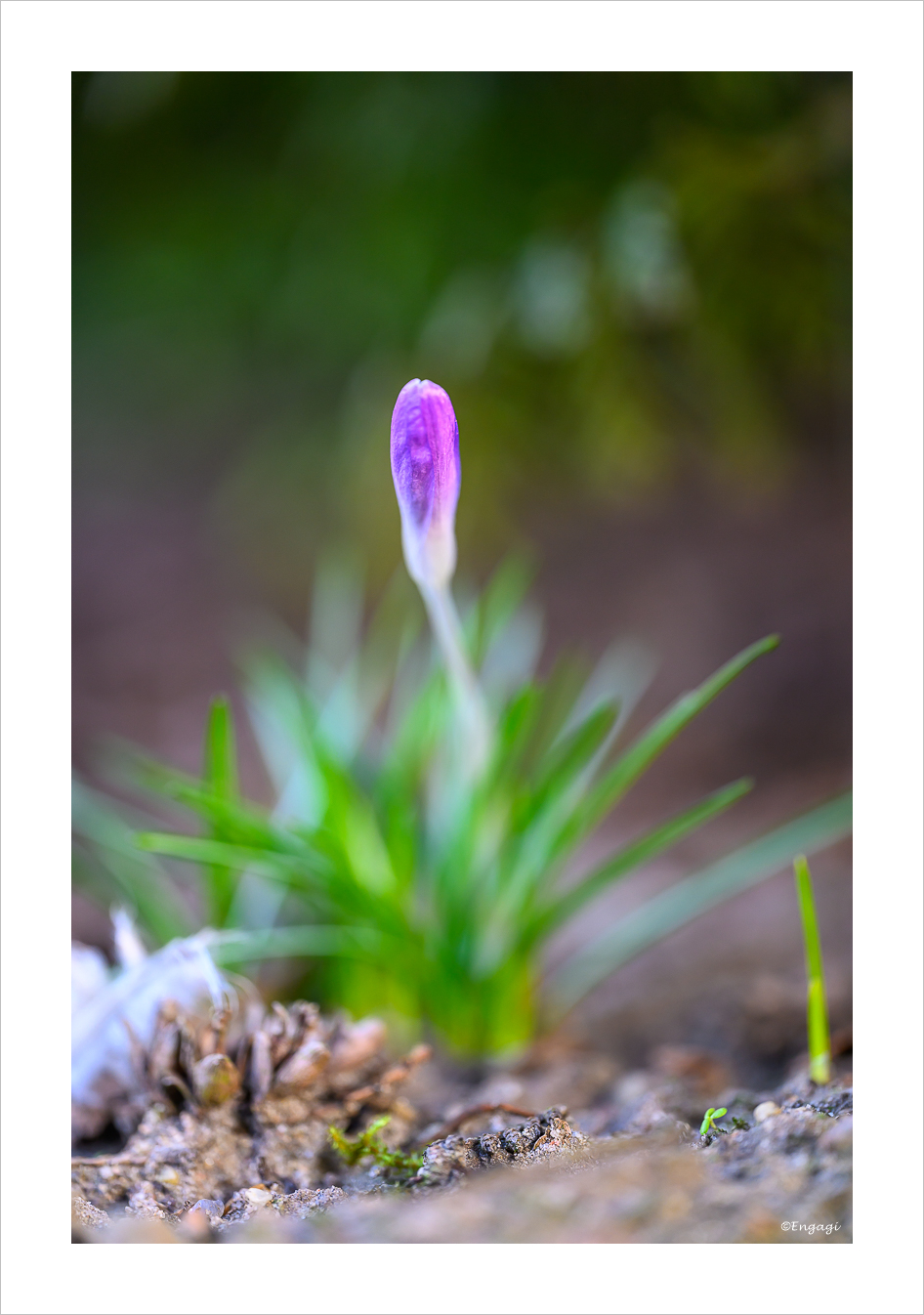 DSC_7990.jpg