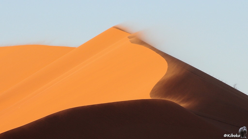 Der starke Wind weht den Sand über den Dünenkamm.
