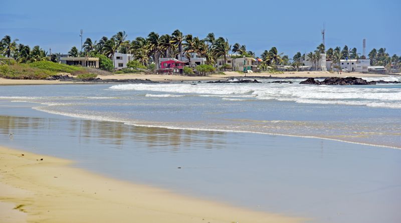 d75_9838.jpg