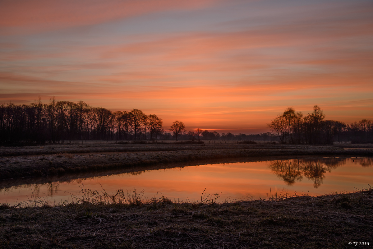DSC_0467.jpg