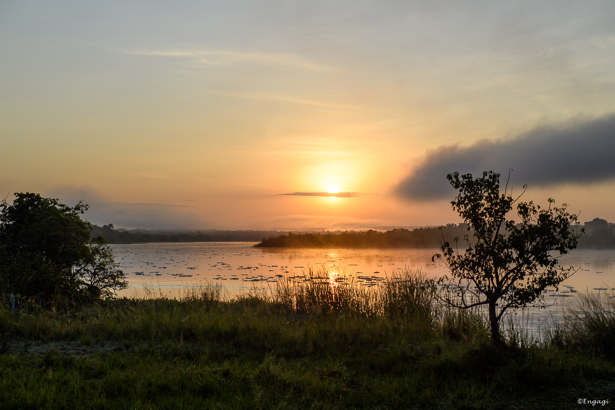 Uganda%200738.jpg