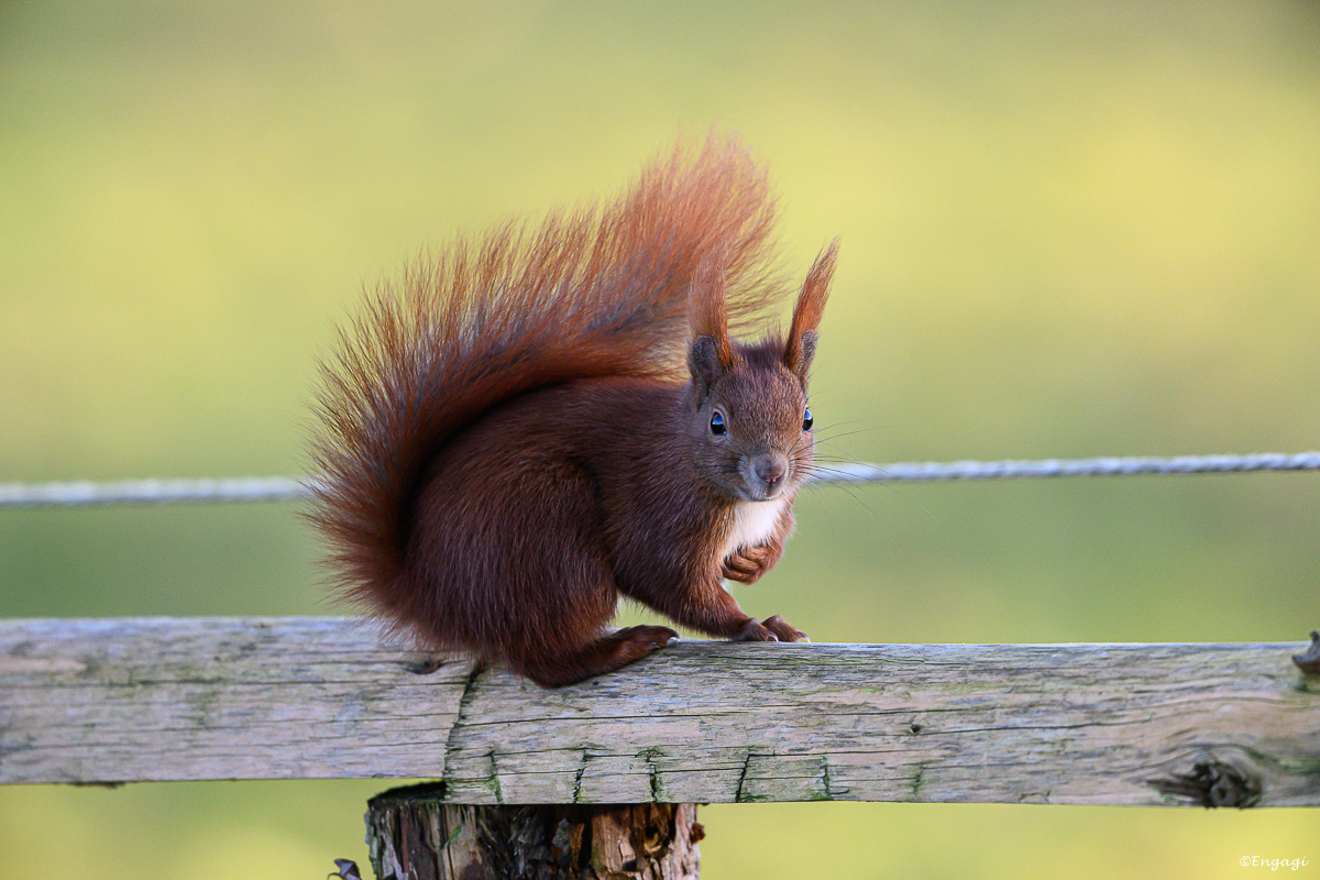 DSC_0639.jpg
