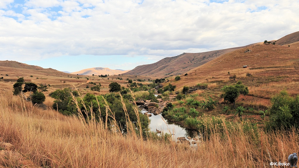 Das Bild zeigt ein Tal. Die Hänge sind mit trockenem Gras bewachsen. In der Talmulde ist ein kleiner Fluss. Das Wasser steht zwischen großen Steinen. Am Fluß stehen kleine Bäume und ein Feld mit Bananenstauden.