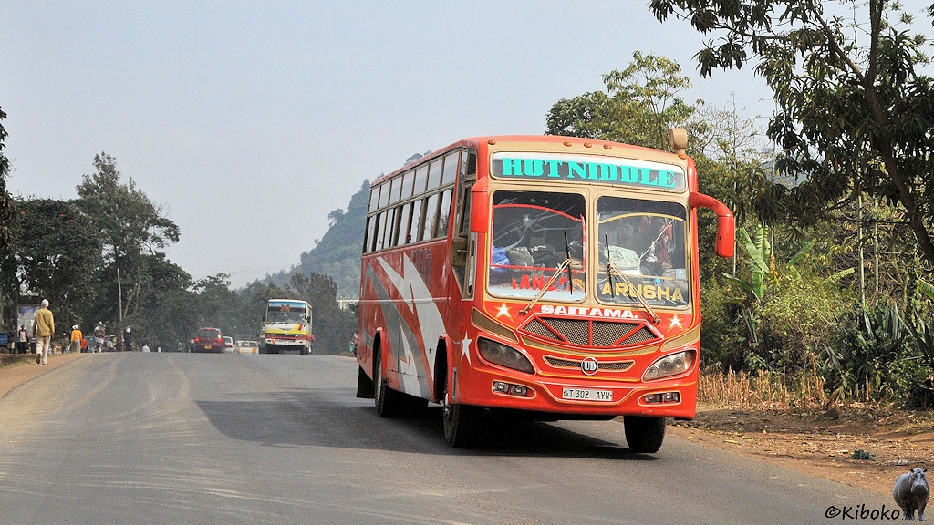 bei Arusha, Tansania bei Arusha, Tansania