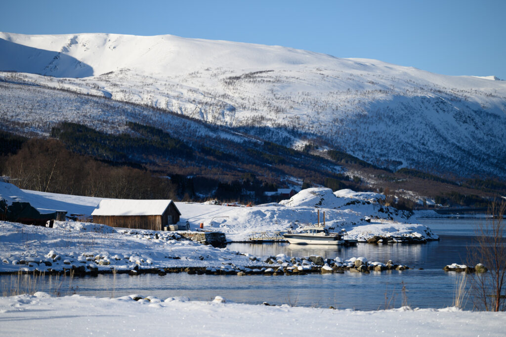 am Fjord am Fjord