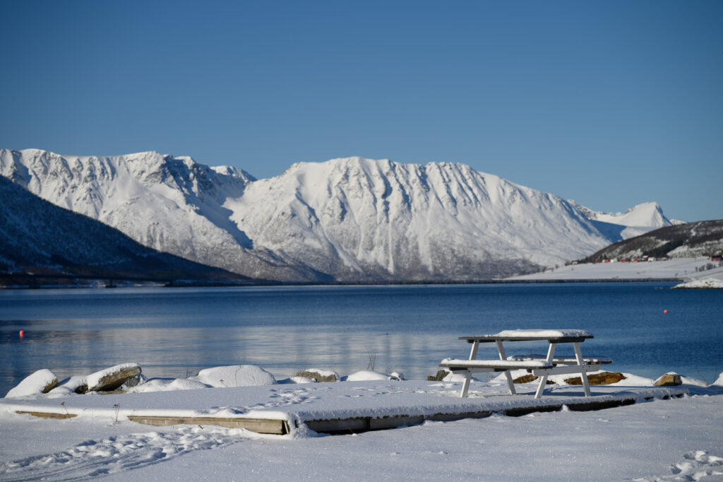 Auch am Fjord Auch am Fjord
